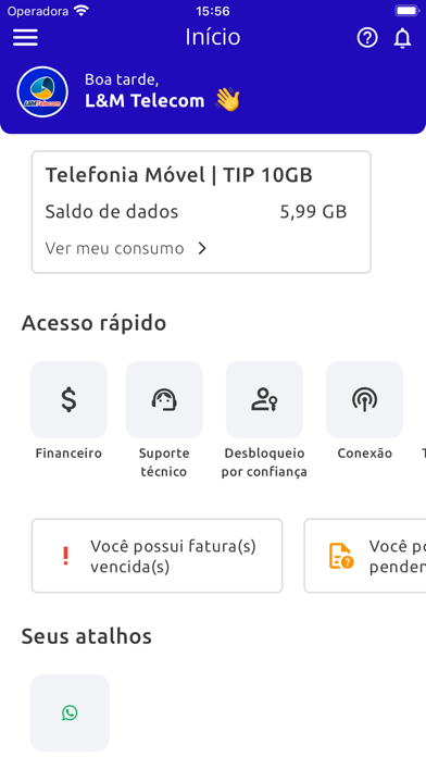 L&M Telecom Screenshot