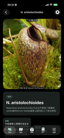 Nepy screenshot