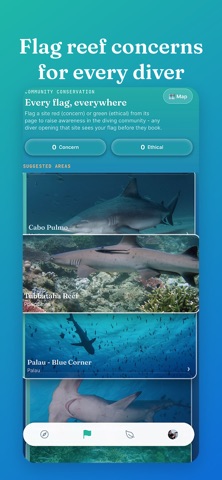 Diveryo Screenshot 6 of 9