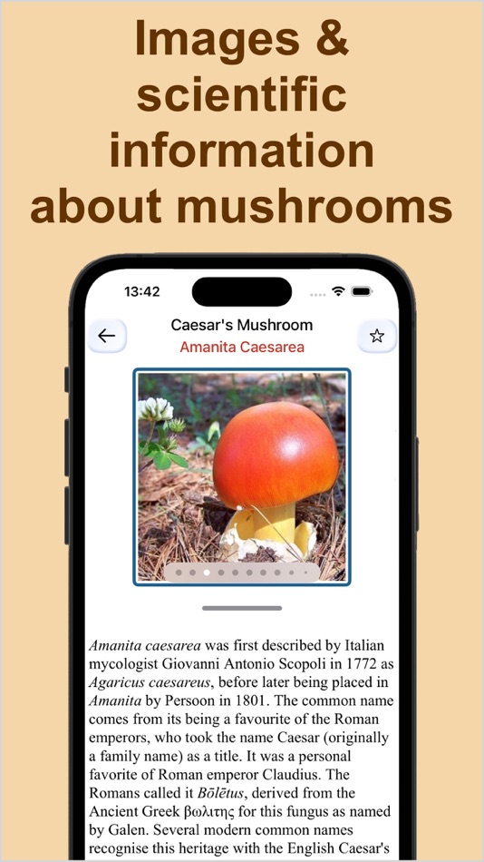 #6. Forest Mushroom Identification (iOS) 由: Kesifler Dunyasi Ltd.