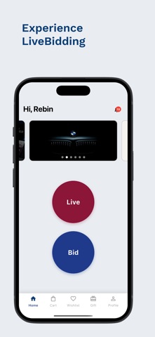 LiveBid.krd screenshot
