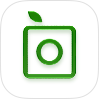 PlantSnap - identify plants