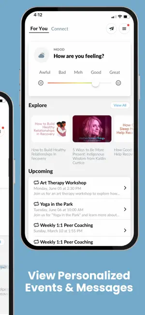 IFS Connect screenshot 2