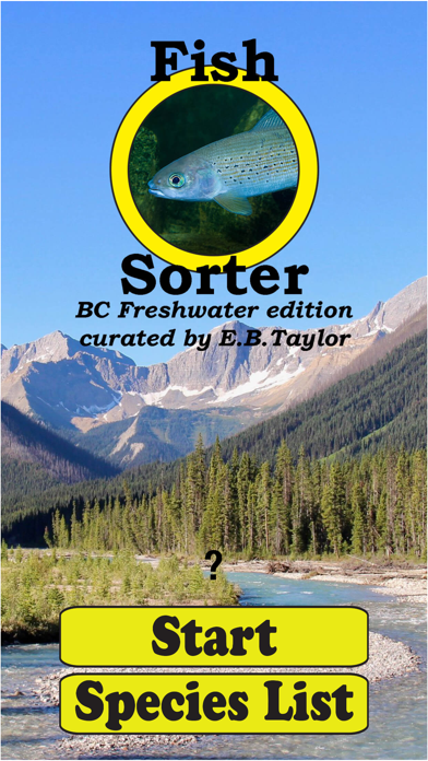 Fish Sorter Screenshot