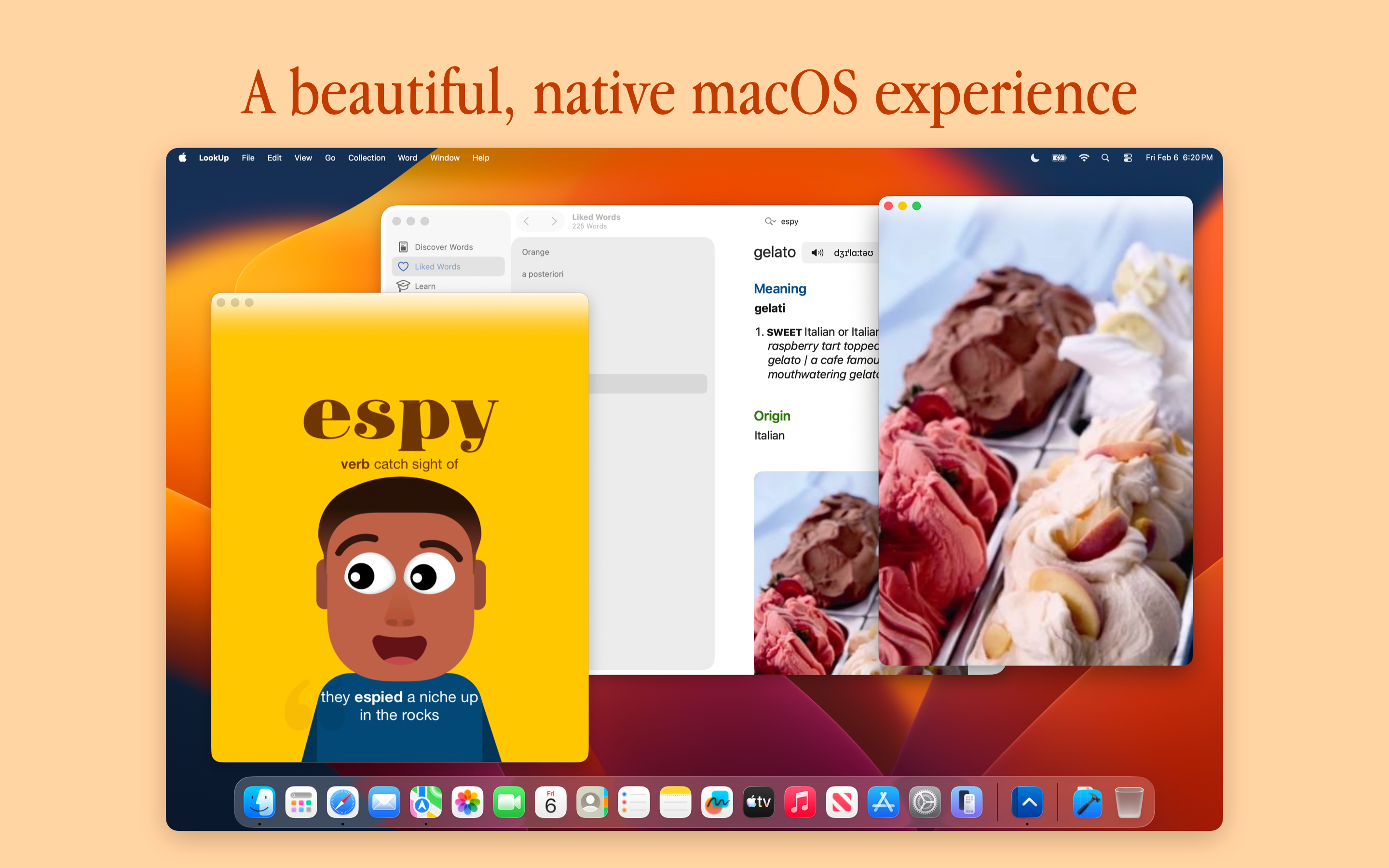 LookUp: English Dictionary App