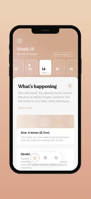 Nine+ Pregnancy Tracking screenshot 4