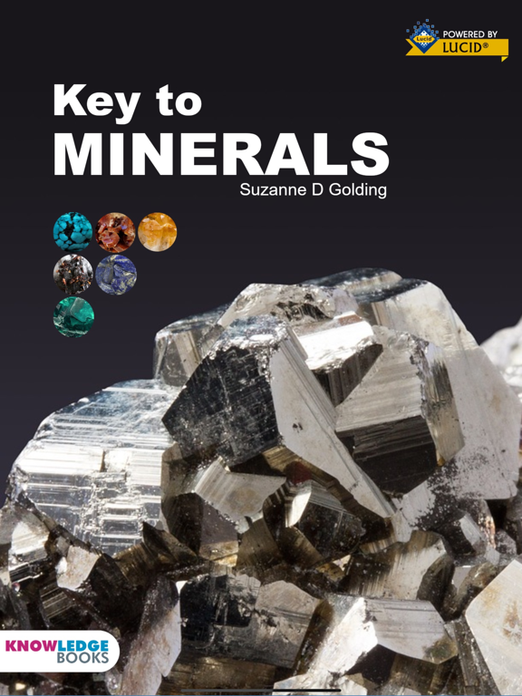 Screenshot #4 pour Mineral Key