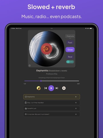 Vinylcore iPad screenshot
