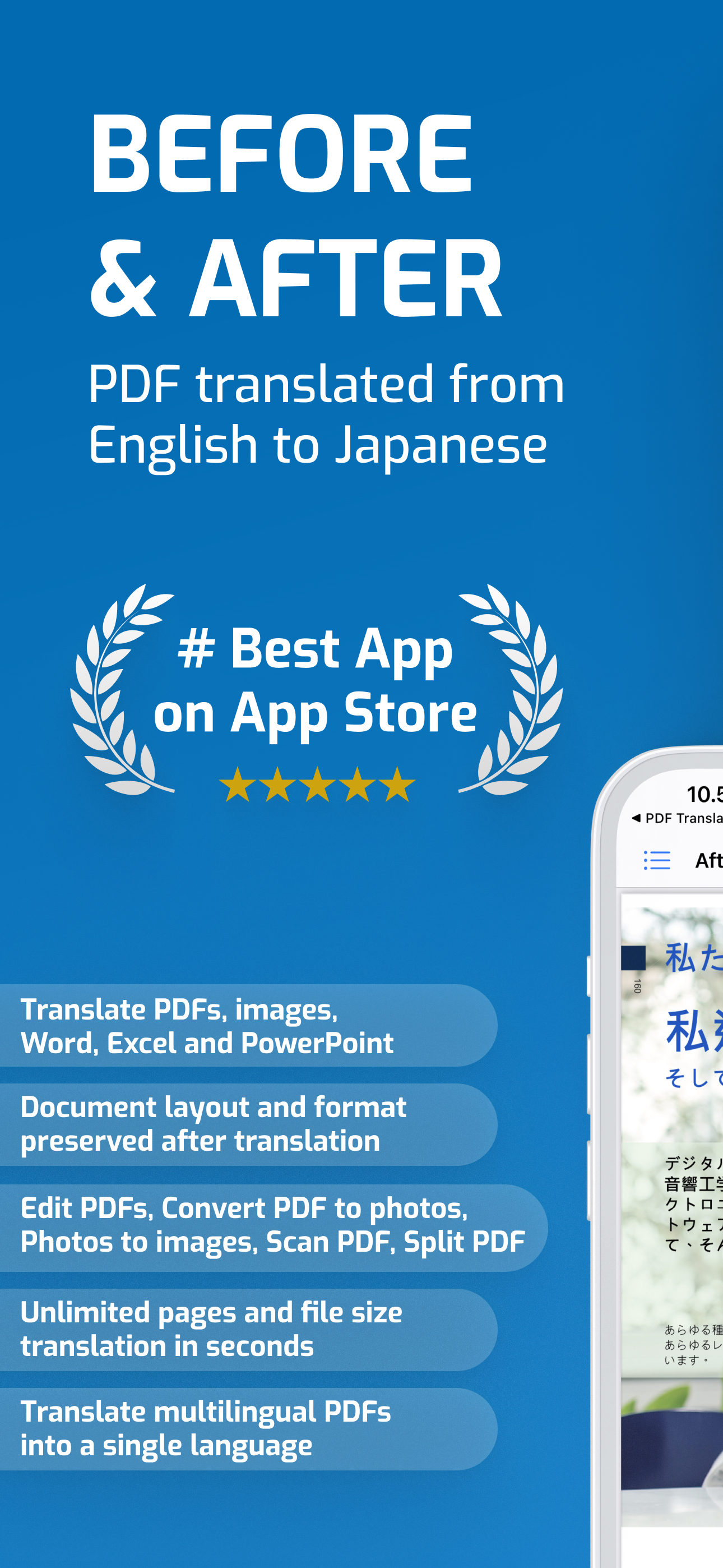 Traduttore PDF e Word