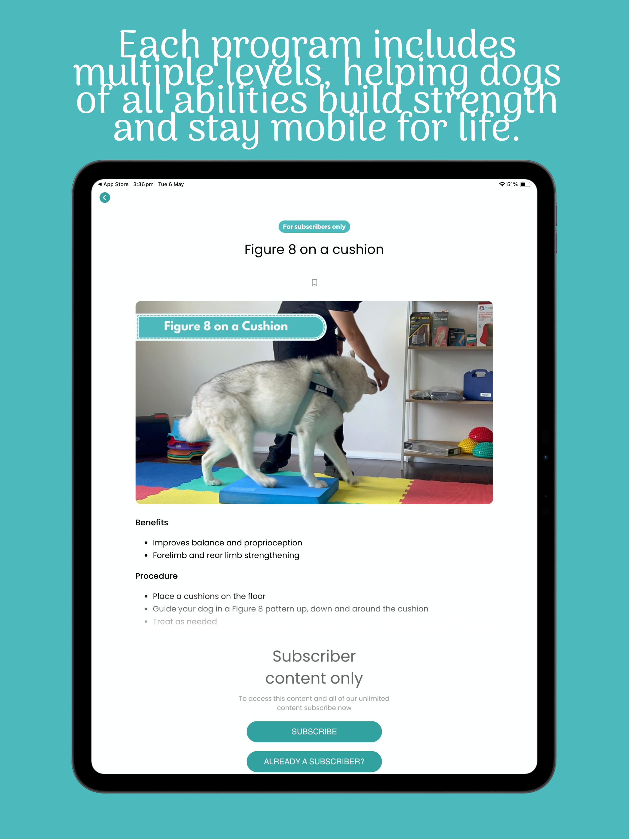 The Dog Rehab App