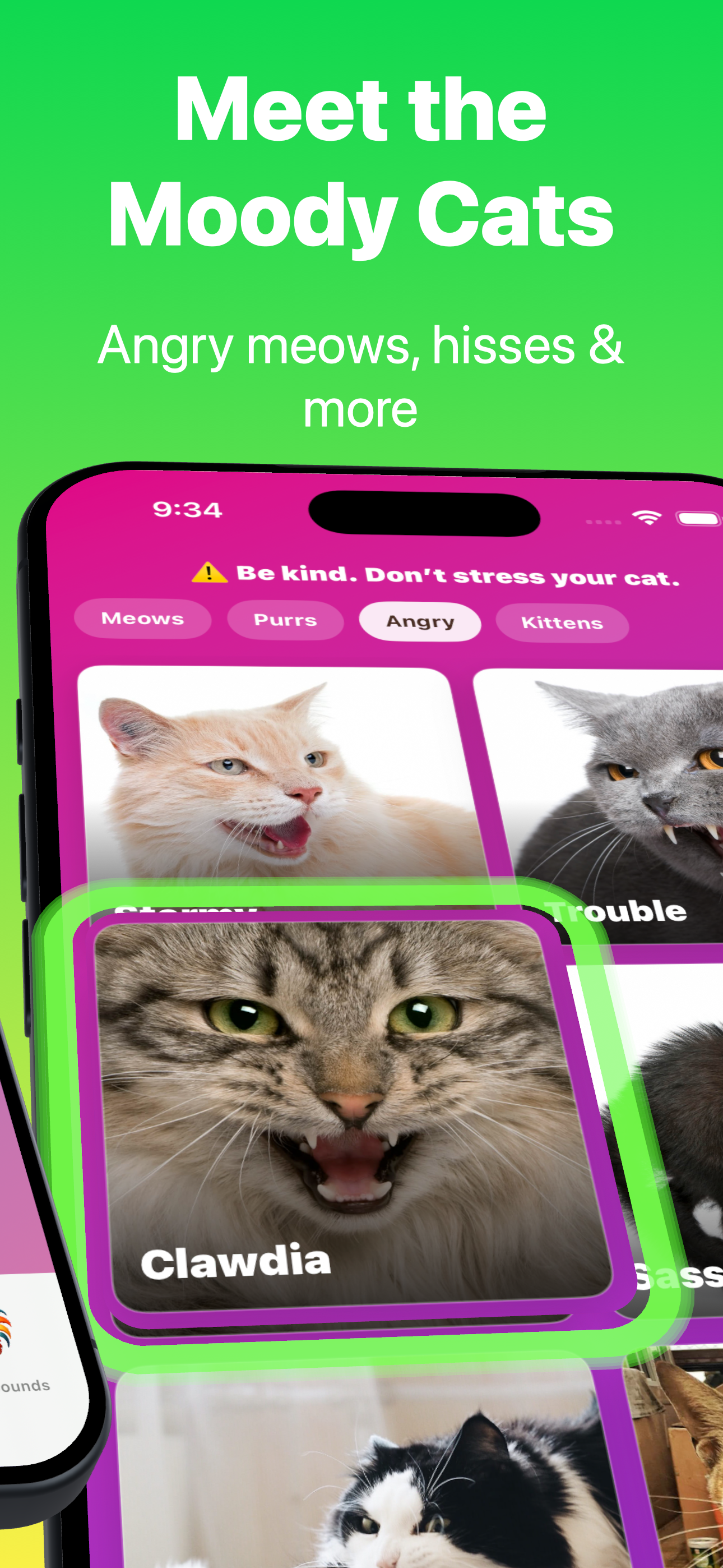 Cat Sounds: Meow Soundboard screenshot 4