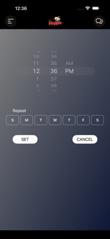 104.3 The Hippo iPhone screenshot