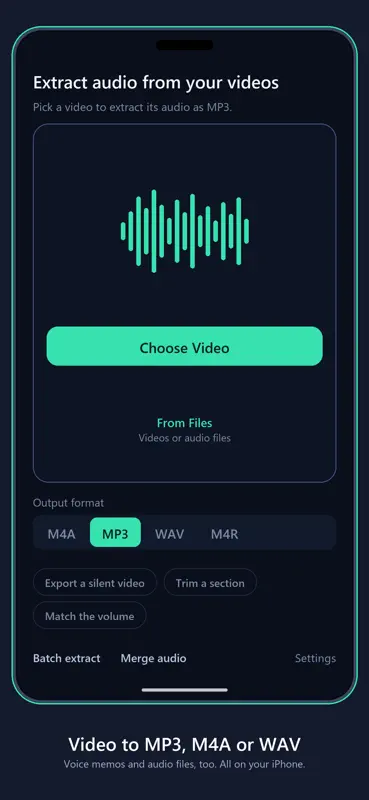 SoundPull: Extract Audio screenshot 1 of 8