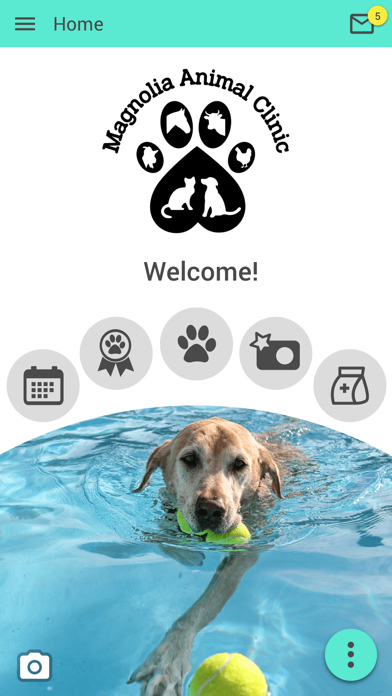 Magnolia Animal Clinic Screenshot