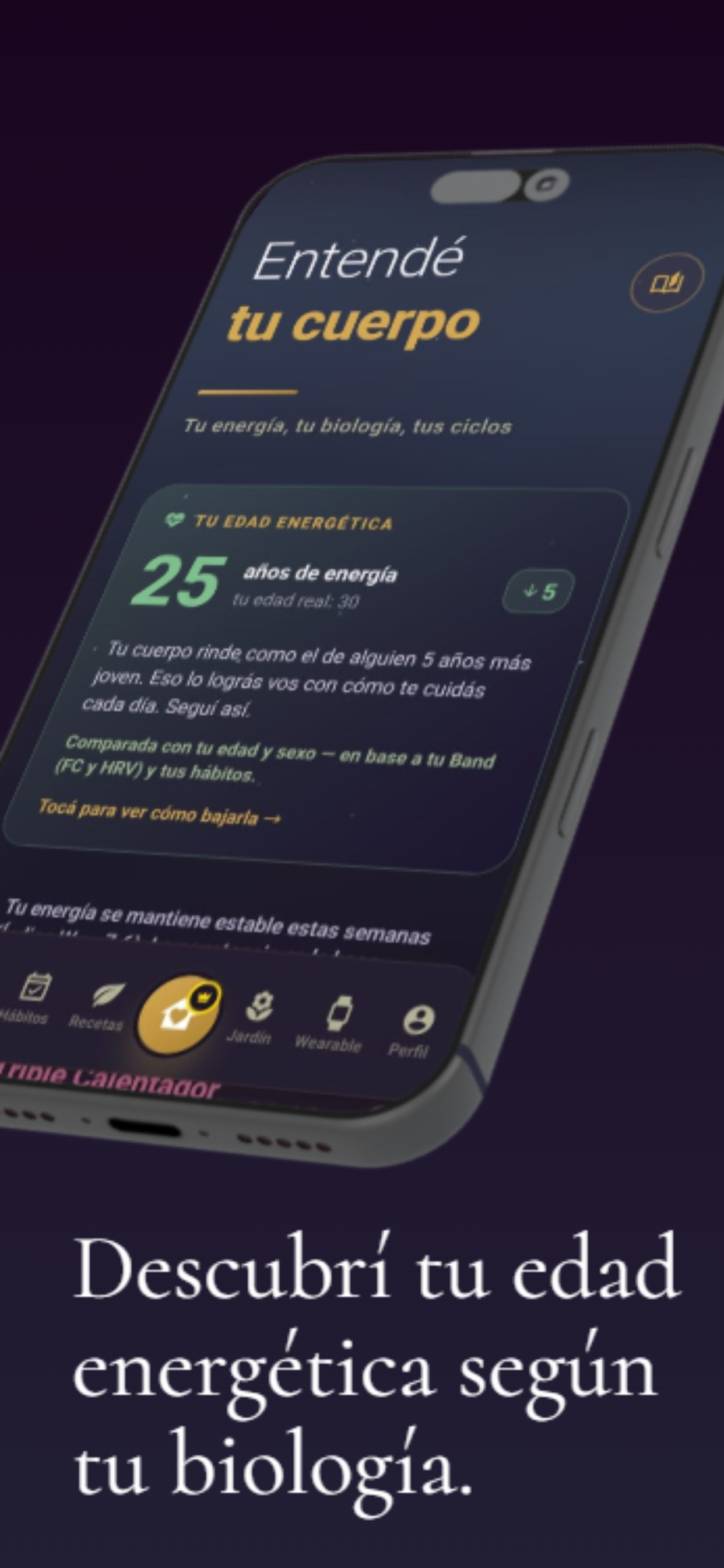 WuClock: Domina tu energia screenshot 3
