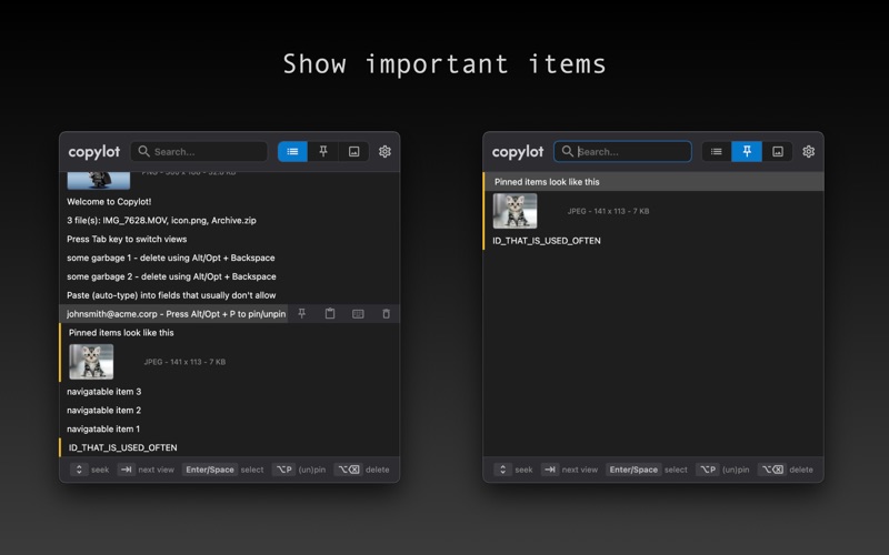 App screenshot