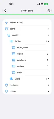 Quarry SQL screenshot 2