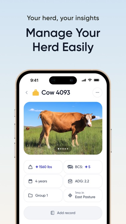 Frontiers Market AI
