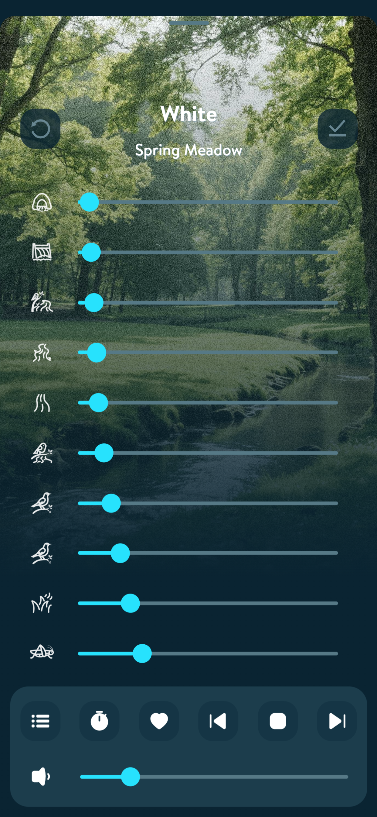 TimeVocalist