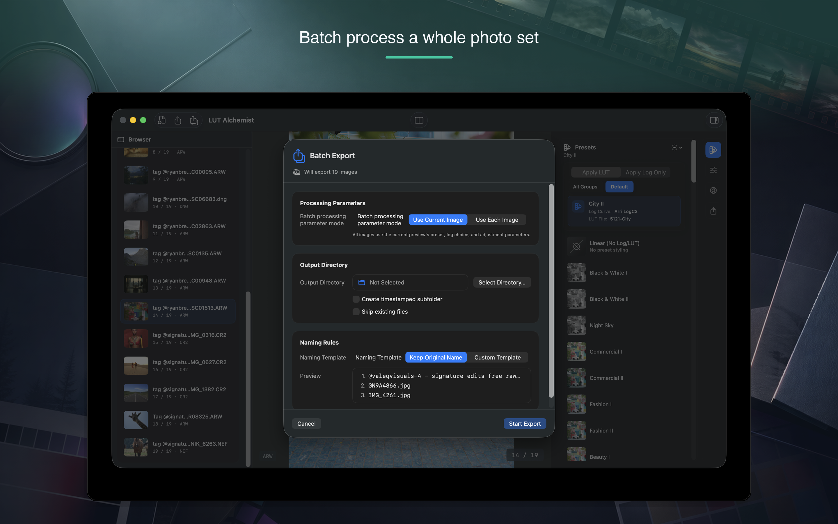 Gradira: Photo Color Looks screenshot 17