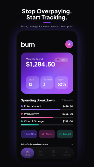 Subscription Tracker: Burn screenshot 1