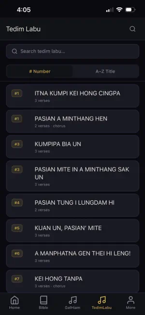 Zomi Laisiangtho screenshot 4