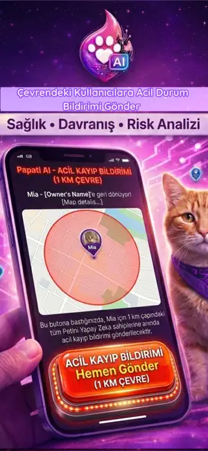 PaPati Kedi Kopek Es Yuva Bul screenshot 4