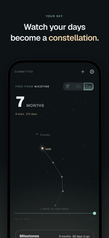 Committed: Sobriety Tracker iPhone screenshot