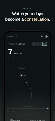 Committed: Sobriety Tracker screenshot 2