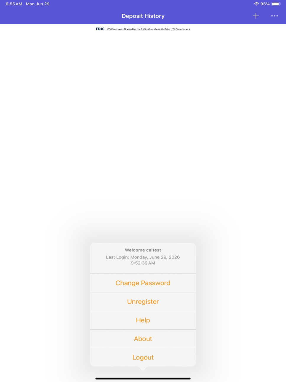 iPad screenshot