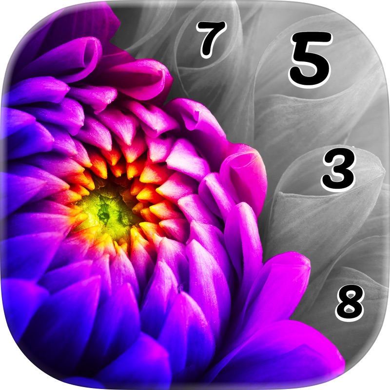 Ink - Adult Color by Number screenshot 12