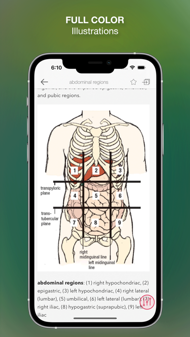 Stedman's Medical Dictionary N Screenshot