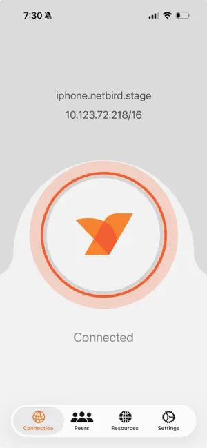 NetBird P2P VPN screenshot 4