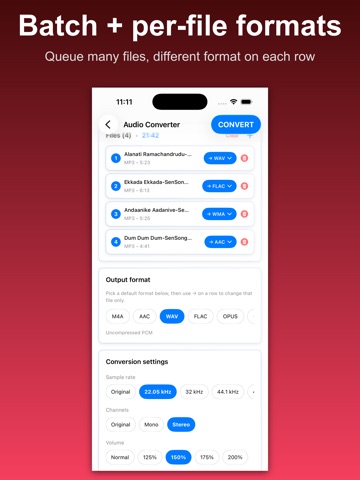 Audio Converter: MP3 AAC WAV iPad screenshot