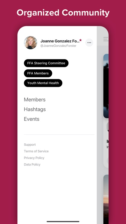 Family Foundation Alliance