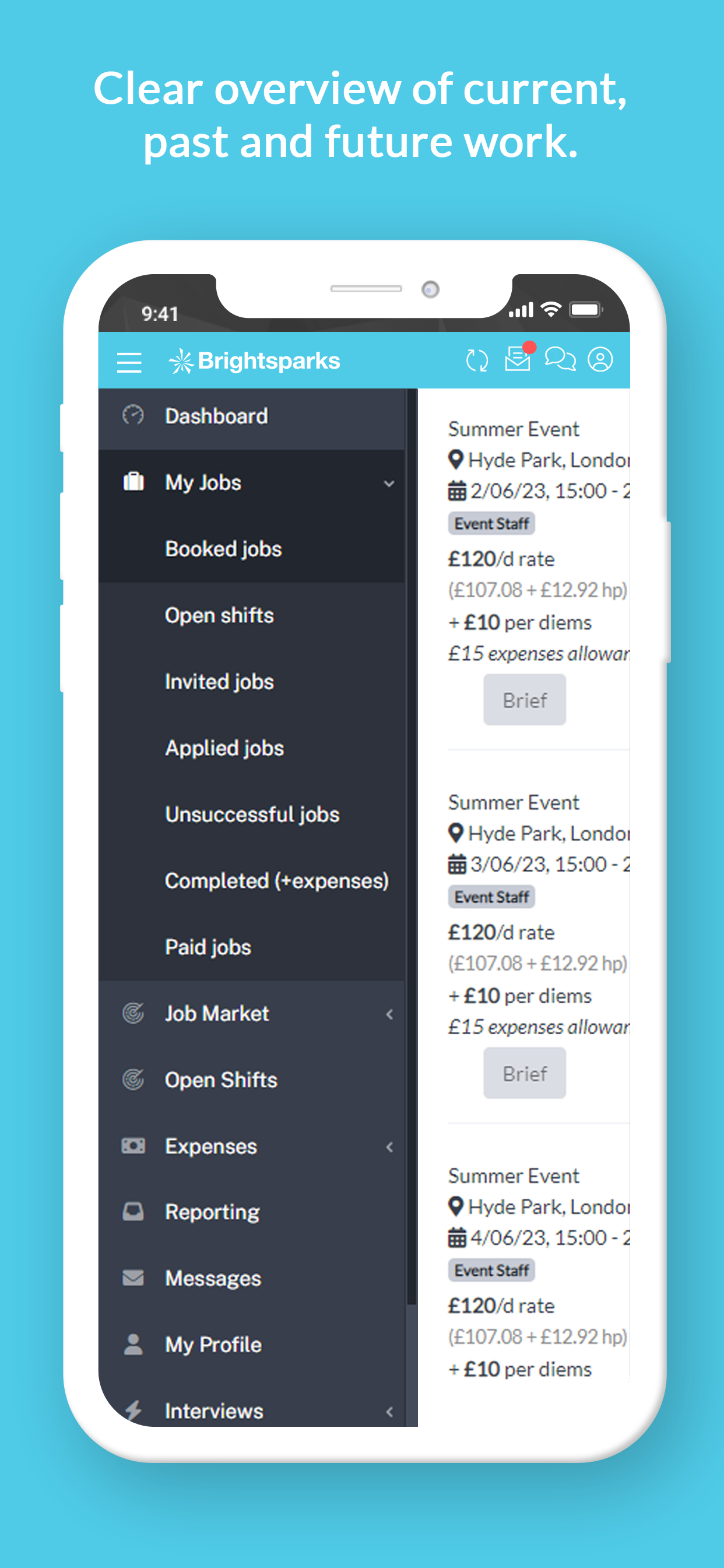 Brightsparks screenshot 3