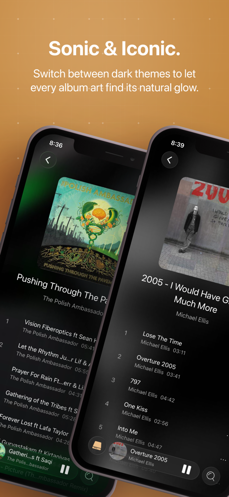 HiFier: HiFi Music Player screenshot 8