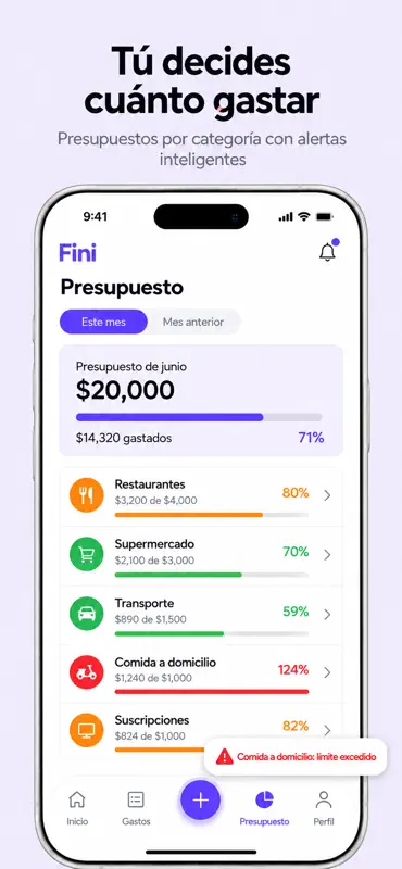 Fini: Control de Gastos screenshot 4 of 10