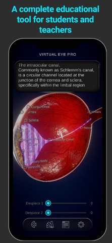Virtual Eye Pro screenshot