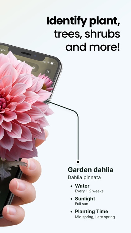 Plant App: Plant Identifier