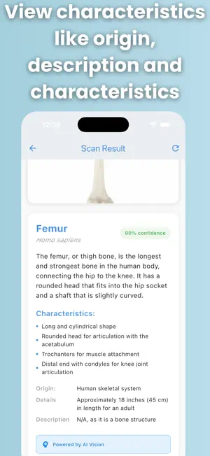 Bone Identifier: AI Scan screenshot 3