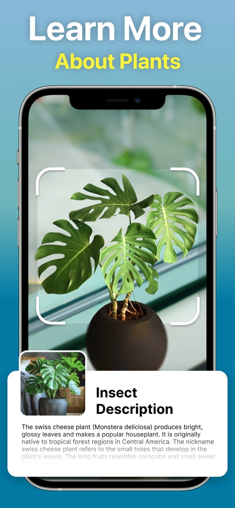 Identify Anything AI Scanner - Utilities App | MWM