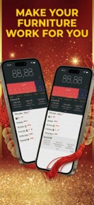 Feng Shui Ruler Pro screenshot