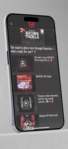 Red Owl Boxing screenshot