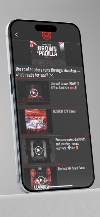 Red Owl Boxing Screenshot 3 of 5