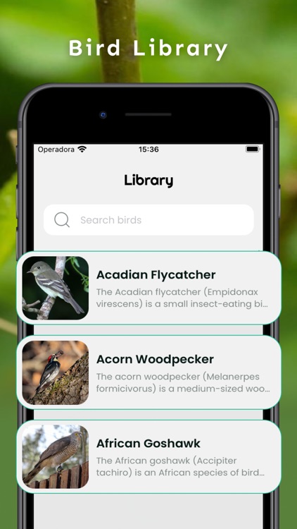 Bird Identifier by Sound ID! screenshot-3