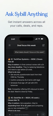 Sybill Screenshot 1 of 5