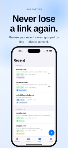 Link Capture screenshot 4