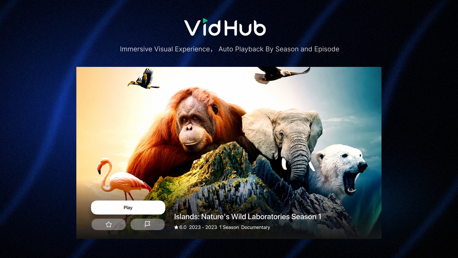 VidHub -Video Library & Player screenshot 17