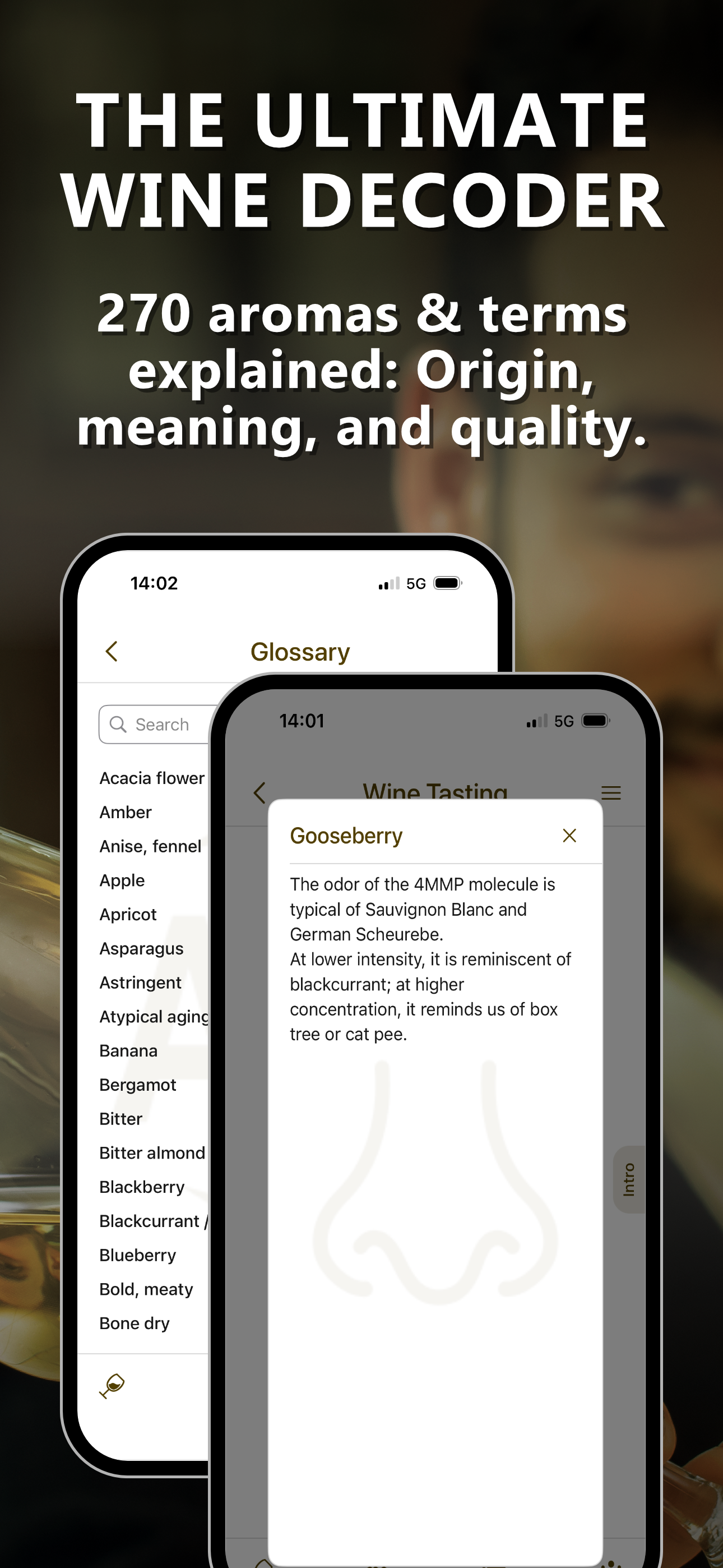 Wine Tasting: Aroma Decoder